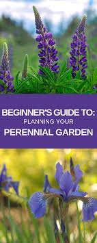 The type of flower is a simple or luxurious one. How To Plan A Perennial Flower Bed Like A Professional Broad Meadow Farm