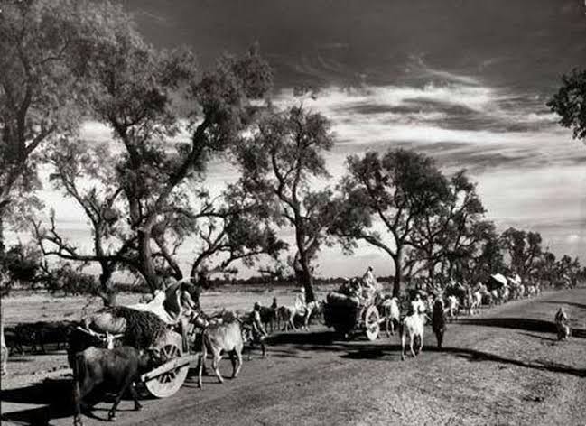 Unseen Photos Of India Pakistan Partition
