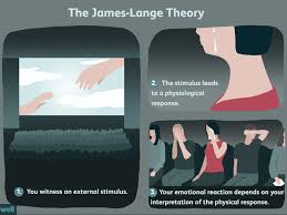 This is just to make others understand. The James Lange Theory Of Emotion
