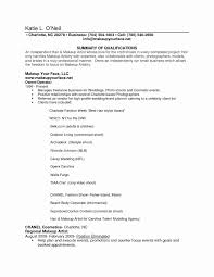 Makeup Artist Business Plan Template Cosmetics Siness Plan Template Free E2 80 93 Guiaubuntup Makeup Artist Resume Artist Resume Makeup Artist Business