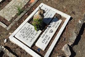 Many human cultures buried animal remains. Inside Silvermere Haven Pet Cemetery Essential Surrey Sw London