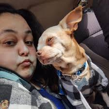 Grief and support for loss of a beloved pet