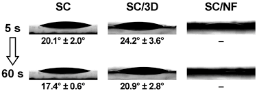 Le contexte de ces films est celui des époques allant de la renaissance à la veille de la révolution française. Pharmaceutics Free Full Text Bi Layered Polymer Carriers With Surface Modification By Electrospinning For Potential Wound Care Applications Html