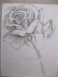 Yahoo Login Roses Drawing Pencil Drawings Of Flowers Pencil Art Drawings