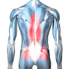 You will usually first feel. Chronic Lower Back Pain Bauerfeind Canada Medical