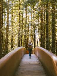 Lady bird johnson grove trail map. Top 15 Redwood National And State Parks Destinations Ultimate Guide Miss Rover