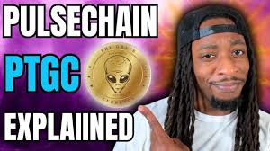 PulseChain: pTGC and It's Ecosystem Explained!