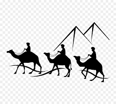 How can i create a custom component or endpoint? Horse Cartoon