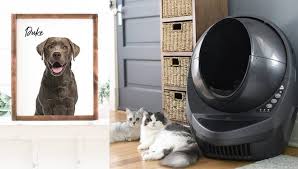 April 11th is a special day to celebrate the joy our furry, fuzzy, finned, winged and other types of animal companions bring to us. Mj9aua7c05kelm