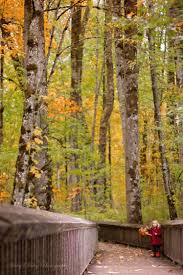 Daley Family Travels Nisqually Wildlife Refuge With Kids Washington State Travel Olympia Washington Walking In Nature