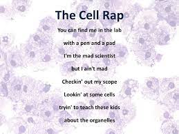 Both animal and plant cells are very similar, as they both are characterized as eukaryotic but they also have many differences. Life And Ecosystems What Is Inside Of A Cell Ppt Video Online Download
