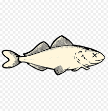 Dead Fish Png Image With Transparent Background Toppng You can also click related recommendations to view more. dead fish png image with transparent
