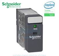 Relay trung gian RXG25BD Schneider - 2 Poles (8 chân)