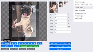 Https Encrypted Tbn0 Gstatic Com Images Q Tbn And9gcsuea 4eiezdlxdkbhieaxa5tgtqu0ehaocgg Usqp Cau