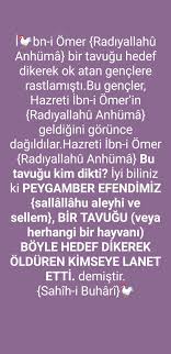 Hayvanlara Merhamet 2020 Guzel Soz