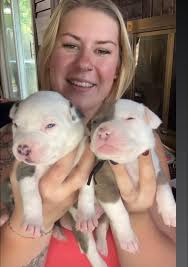 Chef's kiss is this duo!!!! Eye catching, strong, proud, traditional in the  sense of not doing too much but easy tall pedestal— not trying too hard but  is that hard. standing all