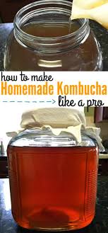 How To Make Homemade Kombucha Recipe 1 Gallon Mainly Homemade Homemade Kombucha Kombucha Recipe Kombucha