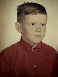 Bees attack after trying to help them