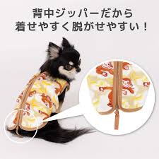 犬 服 ブランド アウトレット