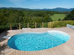 Piscine Waterair De Forme De Haricot Galerie Photos Ggil Pro Waterair En Belgique