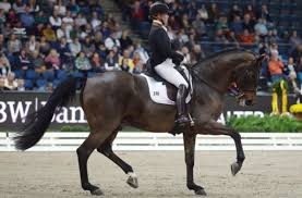 Jun 27, 2021 · dpa kronberg. Reitturnier In Stuttgart Junge Reiter Sind Nicht So Belastbar Sport Schwarzwalder Bote