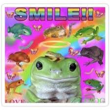 Frog digital wallpaper, frog, amphibian, vladstudio, silhouette. Indie Kid Wallpaper Frog Novocom Top