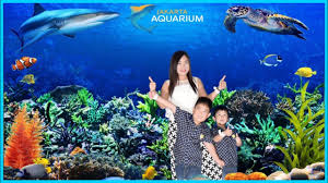 Pilih botol dengan diameter yang lebar agar ikan di dalamnya dapat berenang model aquarium ini menggunakan gantungan dan paku agar bisa bertahan pada tembok. Jakarta Aquarium Jakarta Destimap Destinations On Map
