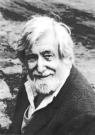 Clifford Geertz, Observing Islam (Chapter 8)