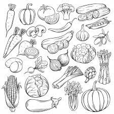 Pin On Vegetariano