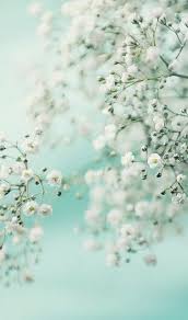 Fleurs Skyblue White Mint Green Aesthetic Mint Green Wallpaper Nature Iphone Wallpaper