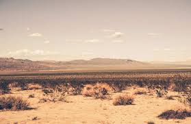 Maybe you would like to learn more about one of these? Arid Desert Wallpaper Mural Hovia