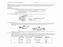 Evidence Of Evolution Worksheet Inspirational What Is Natural Selection Teachervision Chessmuseum Template Library In 2020 Worksheet Template Worksheets Evolution