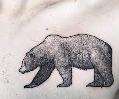 Pin By Hiroki Fukunaga On En Chair Et En Encre Bear Tattoo Designs California Bear Tattoos Animal Tattoos