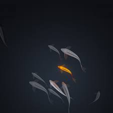Wallpapers are selected individually for each device. 2932x2932 Koi Fishes Minimal 4k Ipad Pro Retina Display Hd 4k Wallpapers Images Backgrounds Photos And Pictures