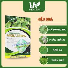 Migu 38WG
