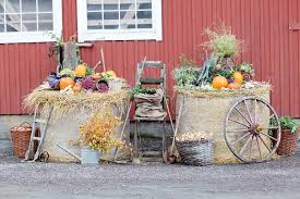 Bildresultat för skördefest