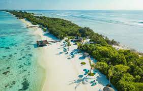 We did not find results for: Book Flights To Maldives Etihad Airways