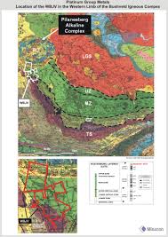 Image result for Urelytrum agropyroides