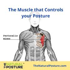 Pin On Posture