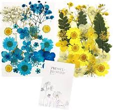 Free uk delivery over £30 and free returns. Candle Making Floral Decors 102 Pcs Dried Pressed Flowers Blue Natural Dried Flower For Resin Nails Art Soap Making Letters Colorful Resin Jewelry Craft Supplies Evertribehq Arts Crafts Sewing