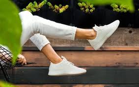 Cardamom pods are seed pods that contain seed pellets that can be ground into cardamom powder. Washing Instructions For Allbirds Shoes How To Wash Wool Footwear