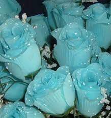 If you think about it, blue doesn't appear much in nature — there aren't blue animals, blue eyes are rare, and blue flowers are mostly human creations. 84 Silk Rose Flowers W Raindrops Wedding Flowers Bridal Floral Sky Blue Amazon In Home Kitchen