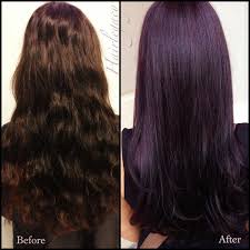 Image Result For Dark Brown Hair With Purple Tint Dark Purple Hair Dark Purple Hair Color Plum Hair