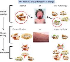 Proteins from zucchini reacting with patient ige were detected by means of immunoblotting. 27 Allergy Cross Reactivity Ideas Allergies Food Allergies Nut Allergies
