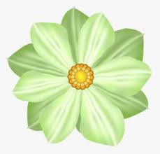 Download this flower png transparent png image as an icon or download the original size directly. Daisy Flower Png Download Transparent Daisy Flower Png Images For Free Nicepng
