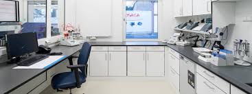 This particular desk was made using some ikea tech, as well as items from the hardware store. B Braun Avitum Ag Laboratory Trespa