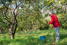 Check spelling or type a new query. Ayla Oner Oren Mugla Komur Hikayeleri