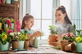 Garden window with a view. Garden Window Decorating Ideas For Your Kitchen