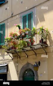 Flowers On A Balcony Via Cardinale Maffi Pietro Pisa Toscana Tuscany Italy Europe Stock Photo Alamy