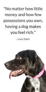 Pin On Dogs